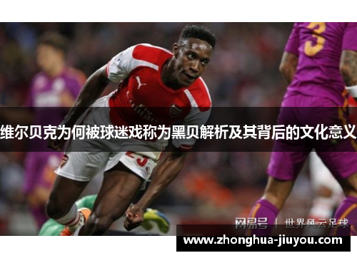 维尔贝克为何被球迷戏称为黑贝解析及其背后的文化意义